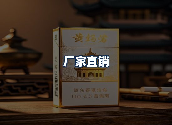 专业团队办公环境
